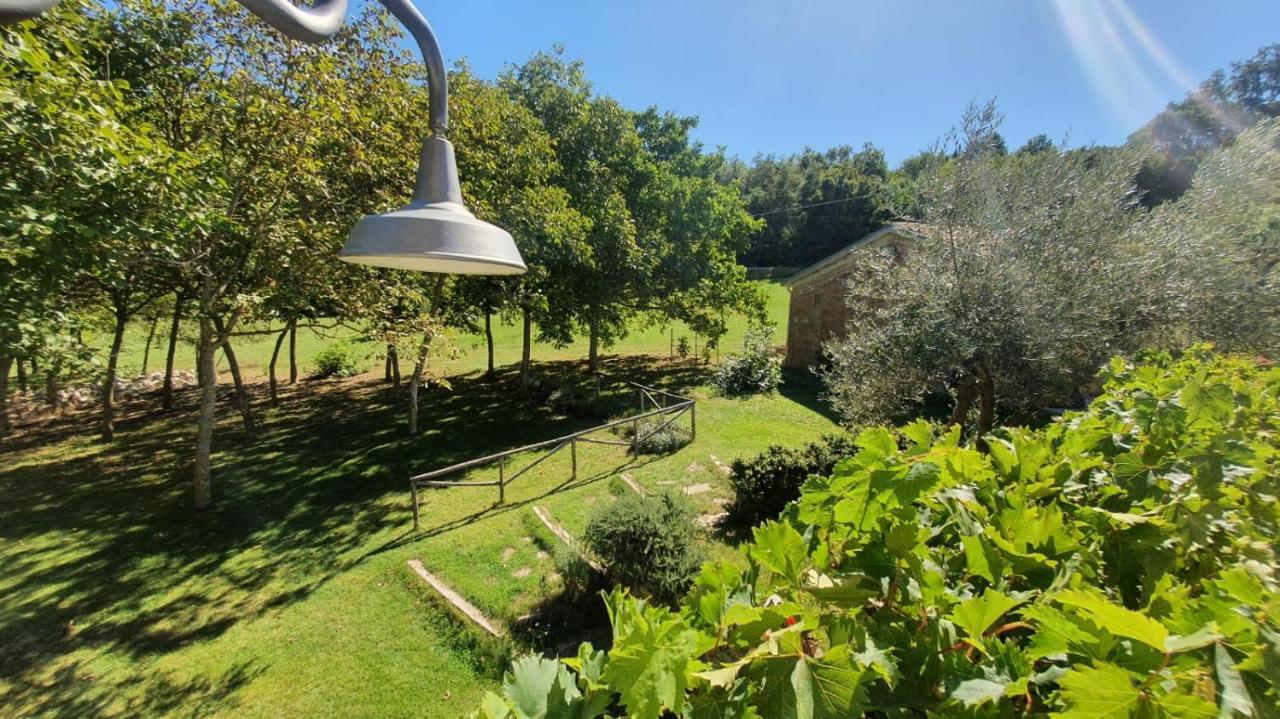Al Noceto Countryside Bed and Breakfast Busso Εξωτερικό φωτογραφία